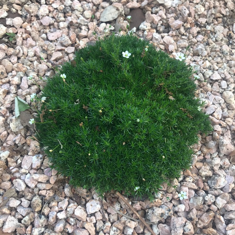 Meet your Posher, Kc